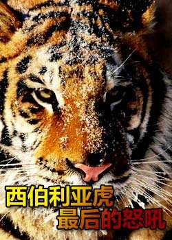 DiscoveryѰ:ǻŭ߹ۿ