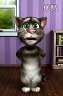 Talking Tom