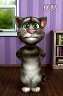 Talking Tom Lee