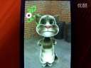 为什么汤姆猫没追上Kitty