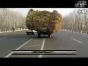 农用车与警车玩飙车? 这辆是不是故意的?太搞笑哦啊.mp4