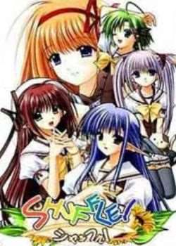Shuffle!߹ۿ