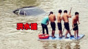 《洪水谣》为余姚加油祈福!