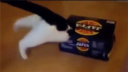 ȷ!ȱЦ߹ۿ