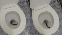 ŮӼͰ־