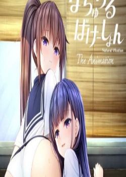 ʤФ` THE ANIMATION(߹ۿ