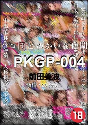 PKGP-004Ӱȷ
