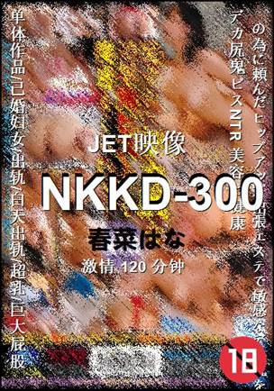 NKKD-300Ӱȷ