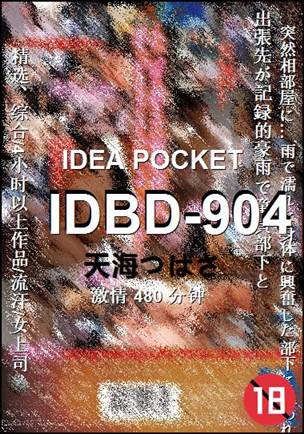 IDBD-904Ӱȷ