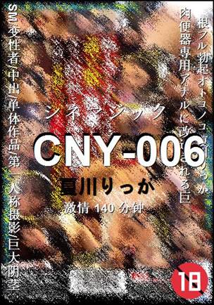 CNY-006Ӱȷ