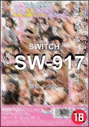 SW-917Ӱȷ