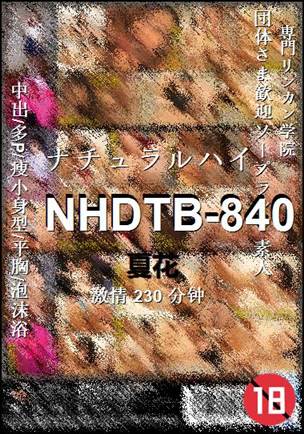 NHDTB-840Ӱȷ