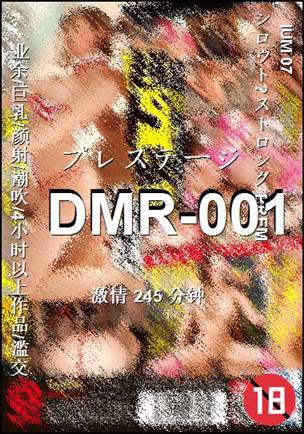 DMR-001Ӱȷ