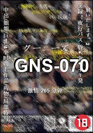 GNS-070Ӱȷ