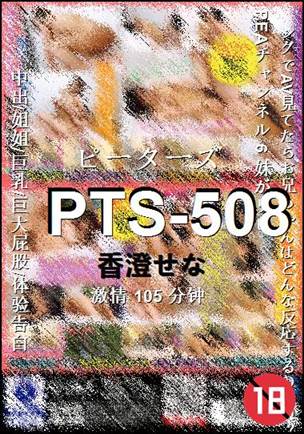 PTS-508Ӱȷ