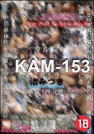 KAM-153Ӱȷ