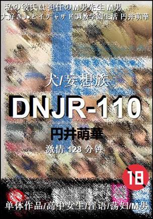 DNJR-110Ӱȷ