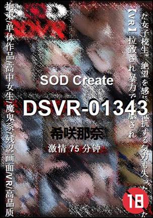 DSVR-01343Ӱȷ