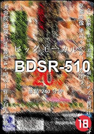 BDSR-510Ӱȷ