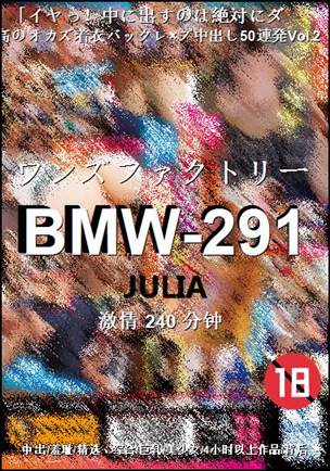 BMW-291Ӱȷ