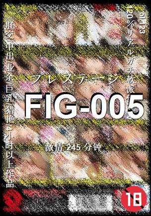 FIG-005Ӱȷ