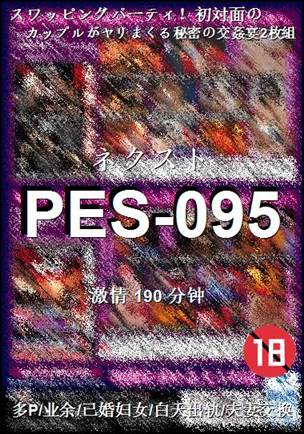 PES-095Ӱȷ