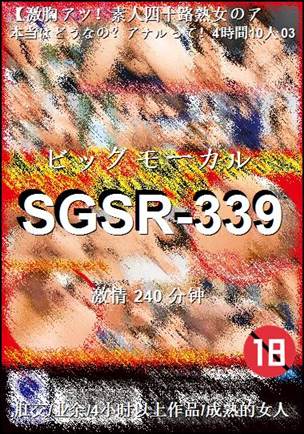 SGSR-339Ӱȷ