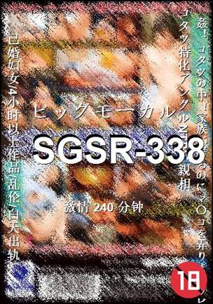 SGSR-338Ӱȷ