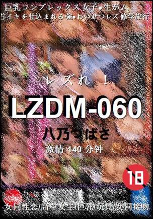 LZDM-060Ӱȷ