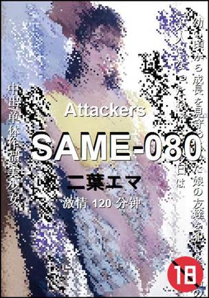 SAME-080Ӱȷ