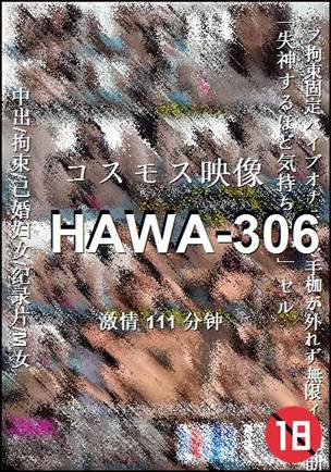 HAWA-306Ӱȷ