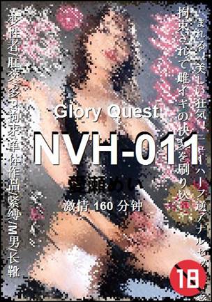 NVH-011Ӱȷ
