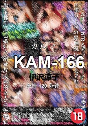 KAM-166Ӱȷ
