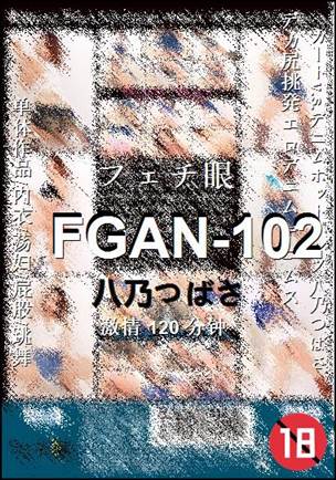 FGAN-102Ӱȷ