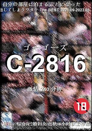 C-2816Ӱȷ
