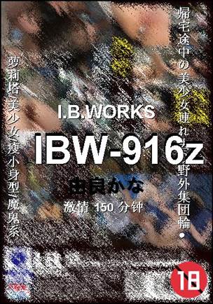 IBW-916zӰȷ