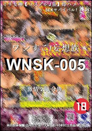 WNSK-005Ӱȷ
