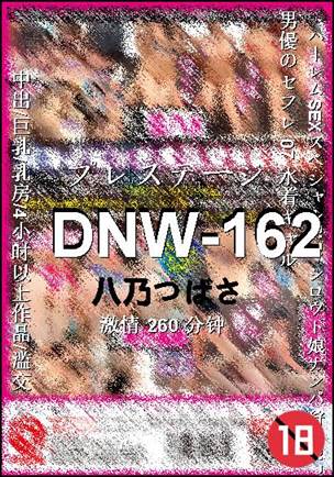 DNW-162Ӱȷ