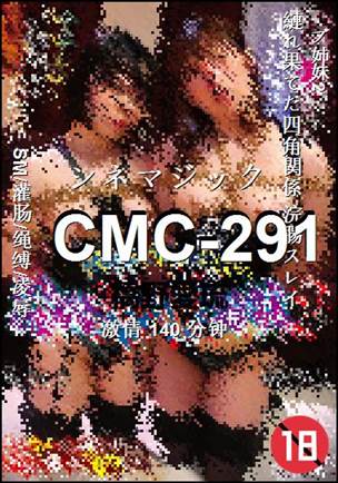CMC-291Ӱȷ