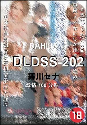 DLDSS-202Ӱȷ