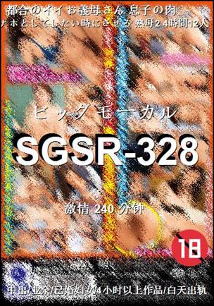 SGSR-328Ӱȷ