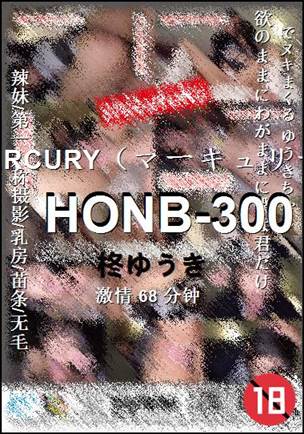 HONB-300Ӱȷ