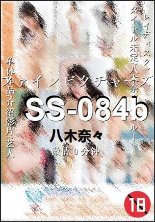 SS-084bӰȷ