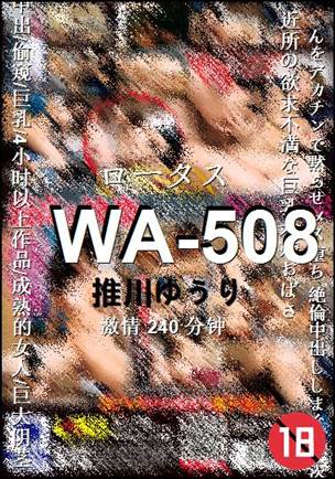 WA-508Ӱȷ