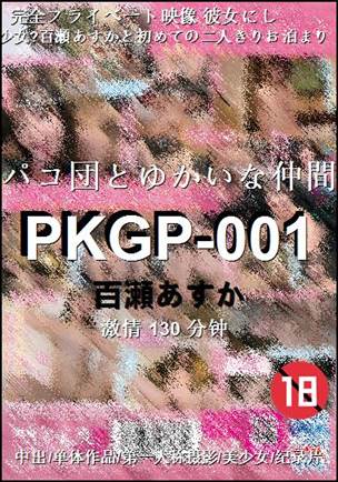 PKGP-001Ӱȷ