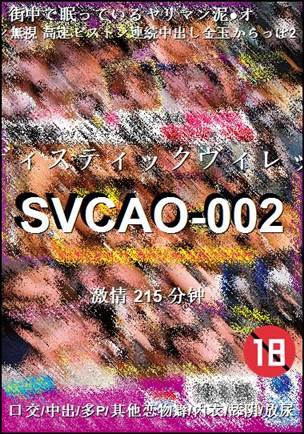 SVCAO-002Ӱȷ