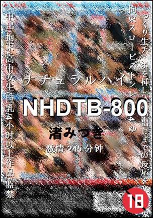 NHDTB-800Ӱȷ