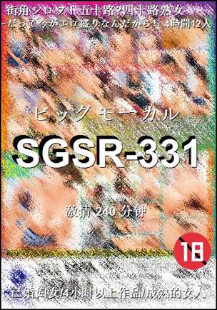 SGSR-331Ӱȷ