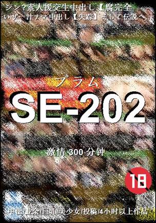 SE-202Ӱȷ