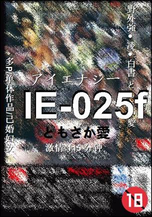 IE-025fӰȷ